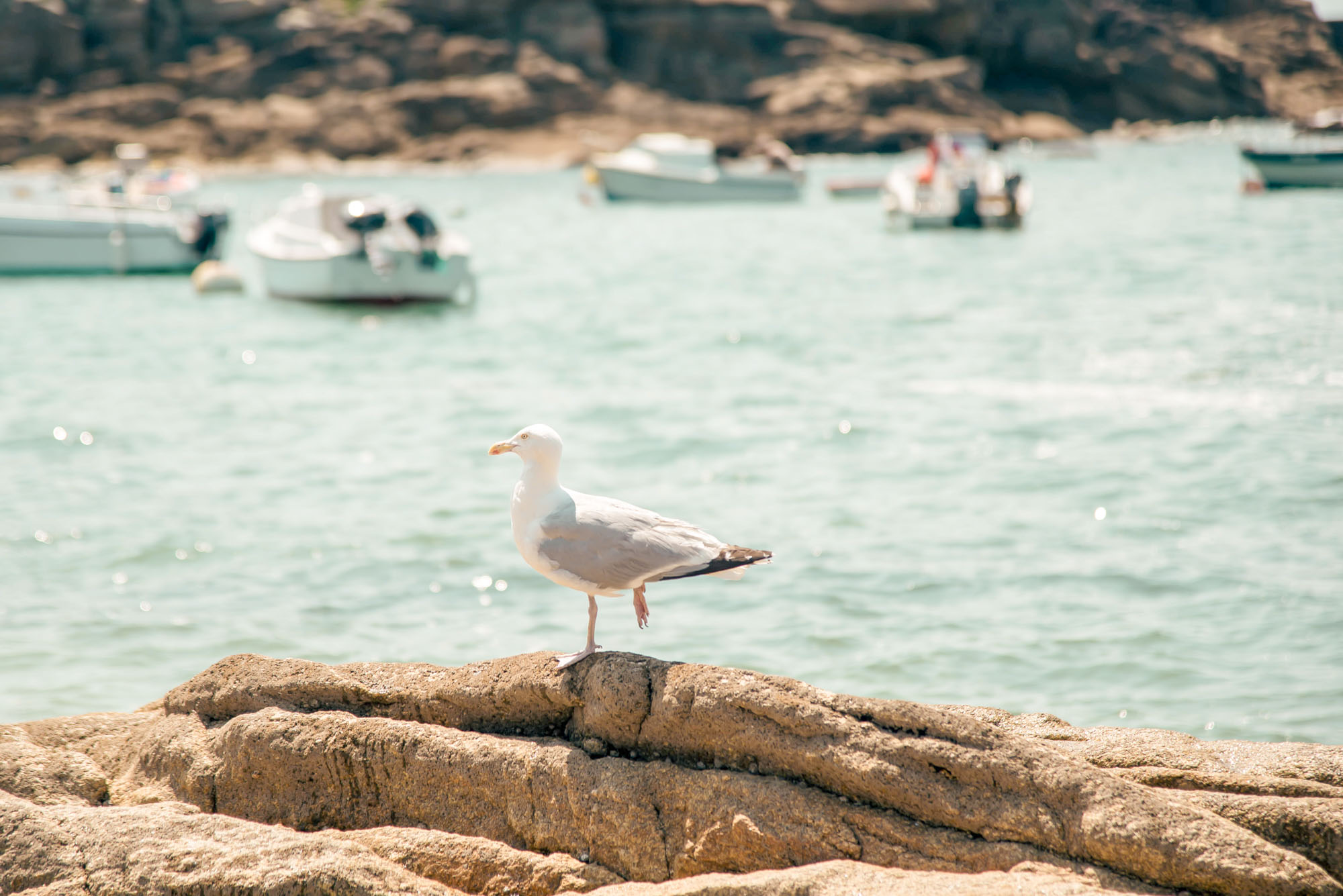 bord de mer kerroch pointe talud camping