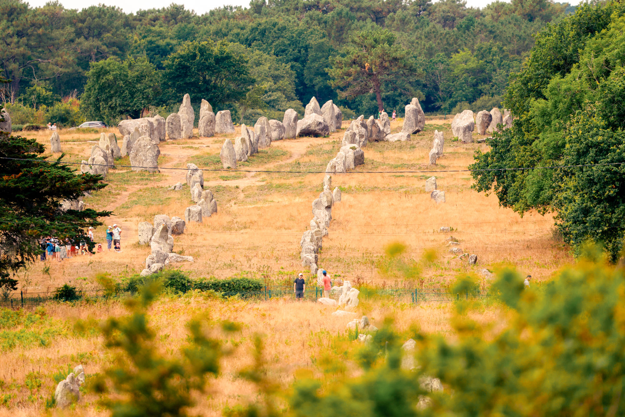 Carnac mégalithes menhirs