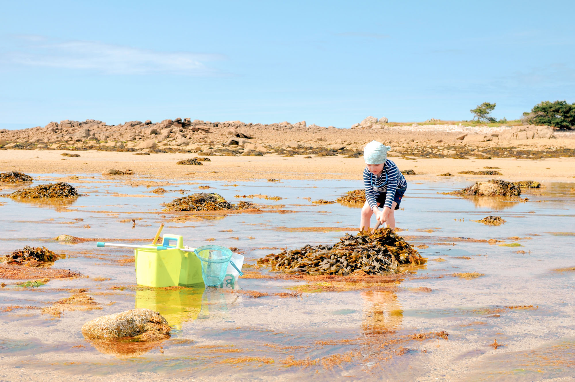 pêhce crabes petit garçon épuisette